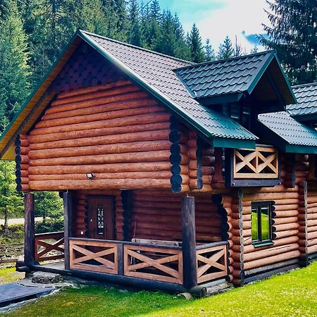 У Віти Котедж4 Synevyrsʼka Polyana المظهر الخارجي الصورة